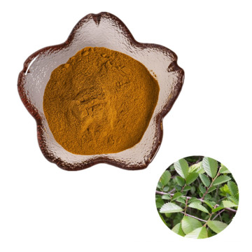 Hot Sale Herbal Plant Extract Slippery Elm Bark Powder / Elm extract powder